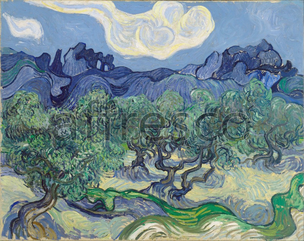 Impressionists & Post-Impressionists | Vincent van Gogh The Olive Trees | Affresco Factory