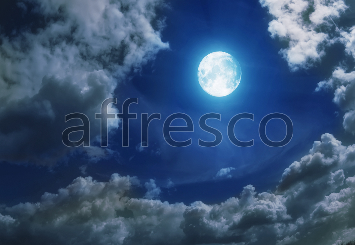 ID13492 | Sky | Full moon | Affresco Factory