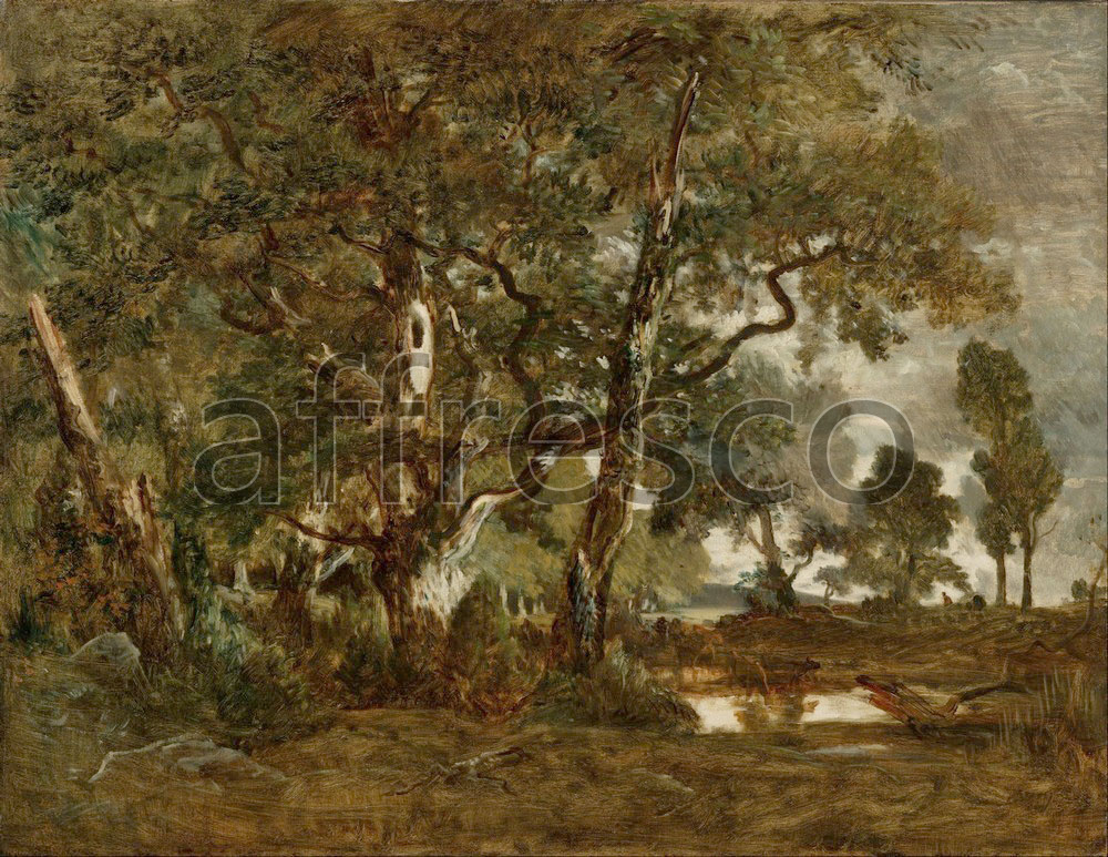 Classic landscapes | Theodore Rousseau Forest of Fontainebleau Cluster of Tall Trees Overlooking the Plain of Clair | Affresco Factory