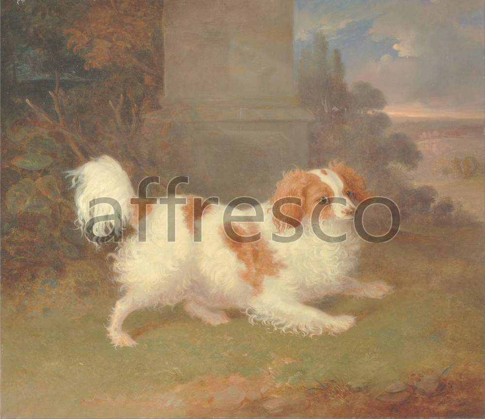 Paintings of animals | William Webb A Blenheim Spaniel | Affresco Factory