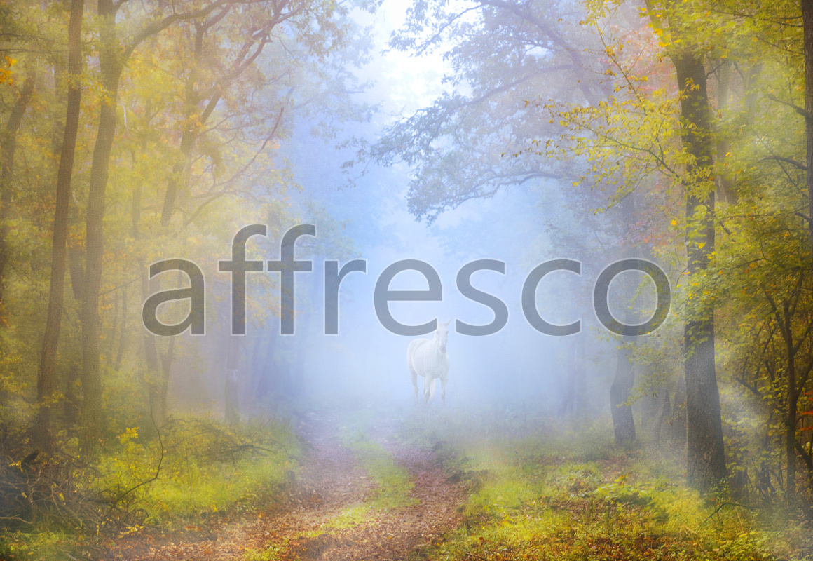 ID10909 | Pictures of Nature  | Horse in morning forest | Affresco Factory