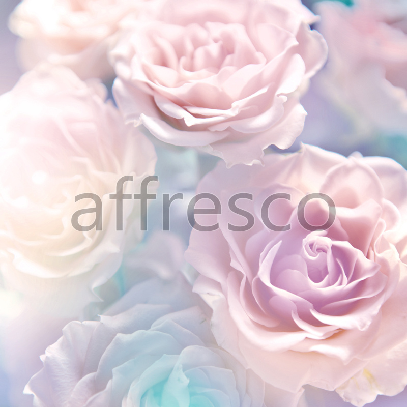 ID12798 | Flowers | buds | Affresco Factory