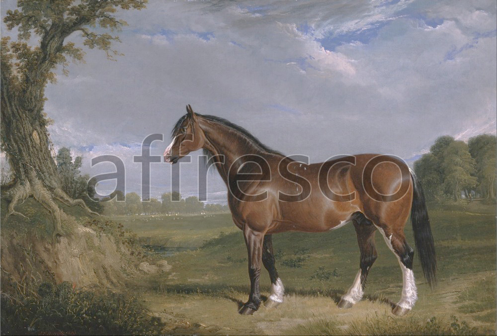 Paintings of animals | John Frederick Herring A Clydesdale Stallion | Affresco Factory