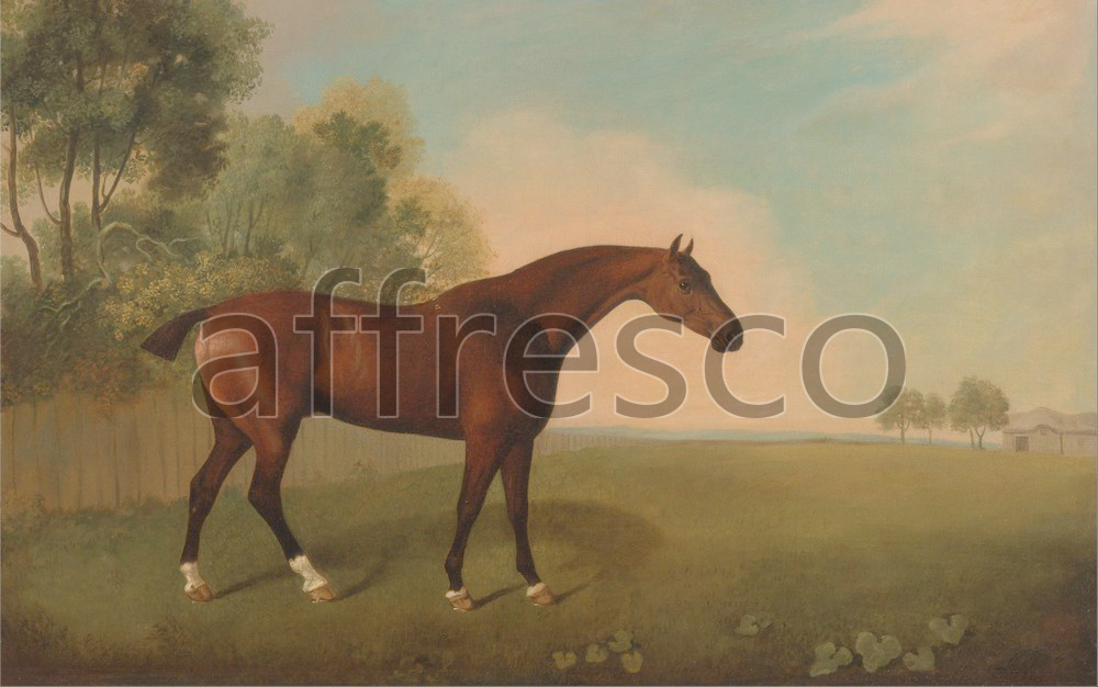 Paintings of animals | John Boultbee A Bay Horse in a Field | Affresco Factory