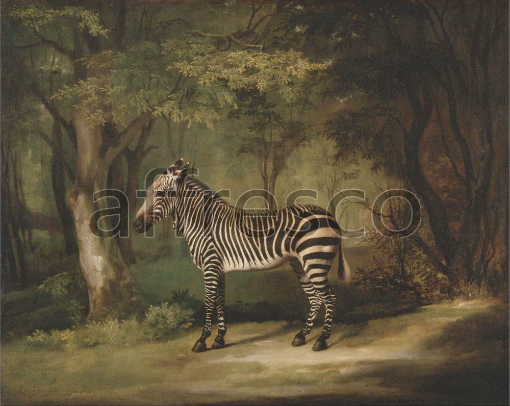 Paintings of animals | George Stubbs Zebra | Affresco Factory