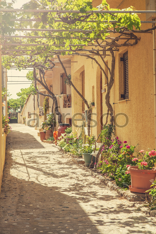 ID13430 | Pictures of Cities  | Street with pergola | Affresco Factory
