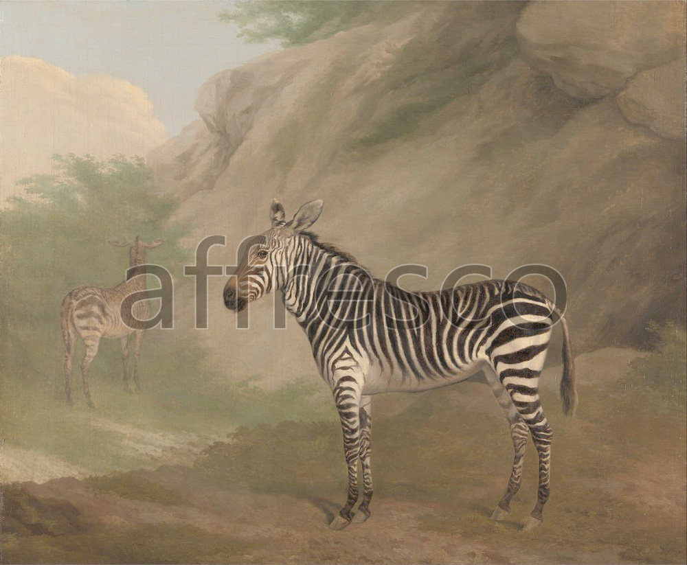 Paintings of animals | Jacques Laurent Agasse Zebra | Affresco Factory