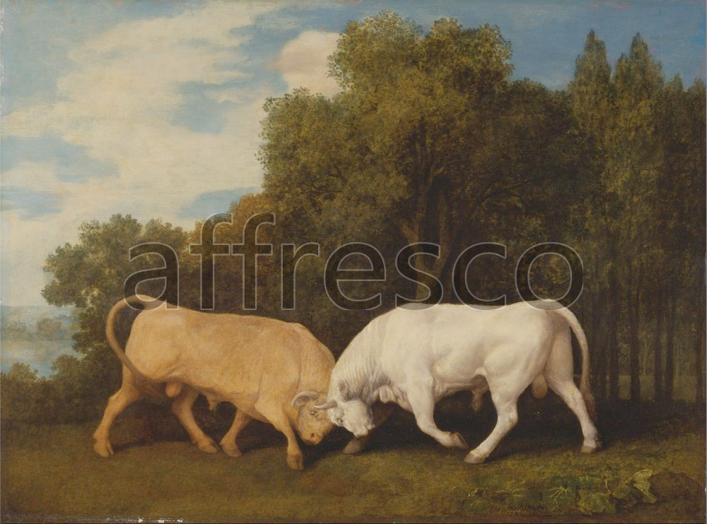 Paintings of animals | George Stubbs Bulls Fighting | Affresco Factory