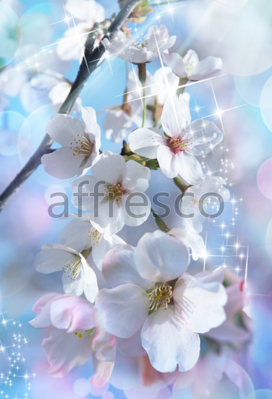 7121 | Flowers | blooming Oriental cherry | Affresco Factory
