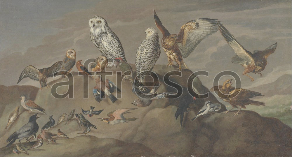 Paintings of animals | Study of Birds | Affresco Factory
